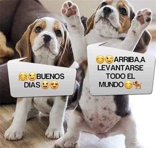 Local comercial en Venta en Calle de las Aulagas en San Agustín - Bahía Feliz