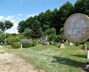Garden of Non-constructible Land for sale in Riudarenes