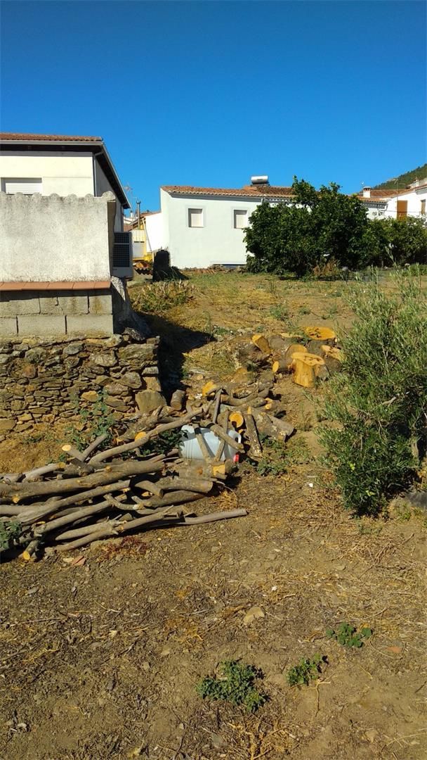 Garden of Land for sale in Casas de Millán