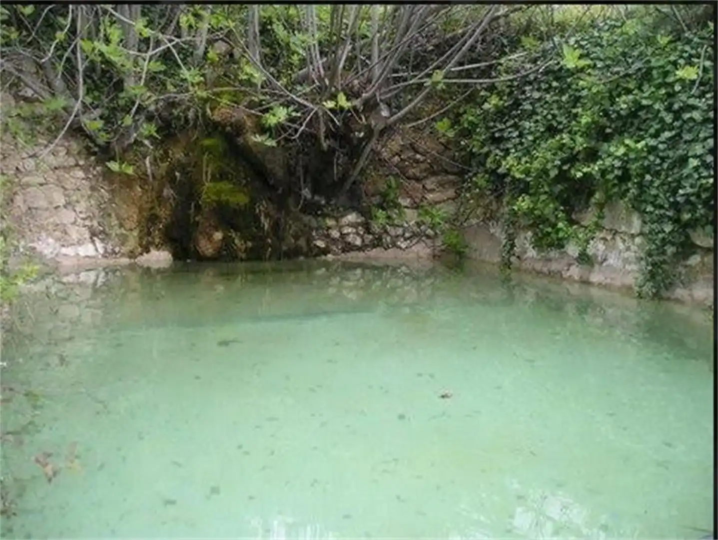 Terreno en venta en Siles Piscina de Terreno en venta en Siles