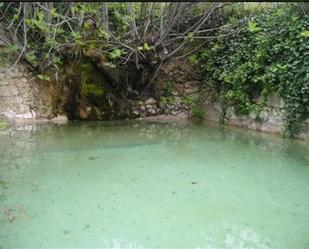 Swimming pool of Land for sale in Siles