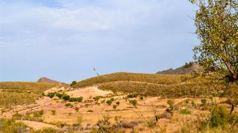 Photo 4 of Land for sale in Carrasquilla, Murcia