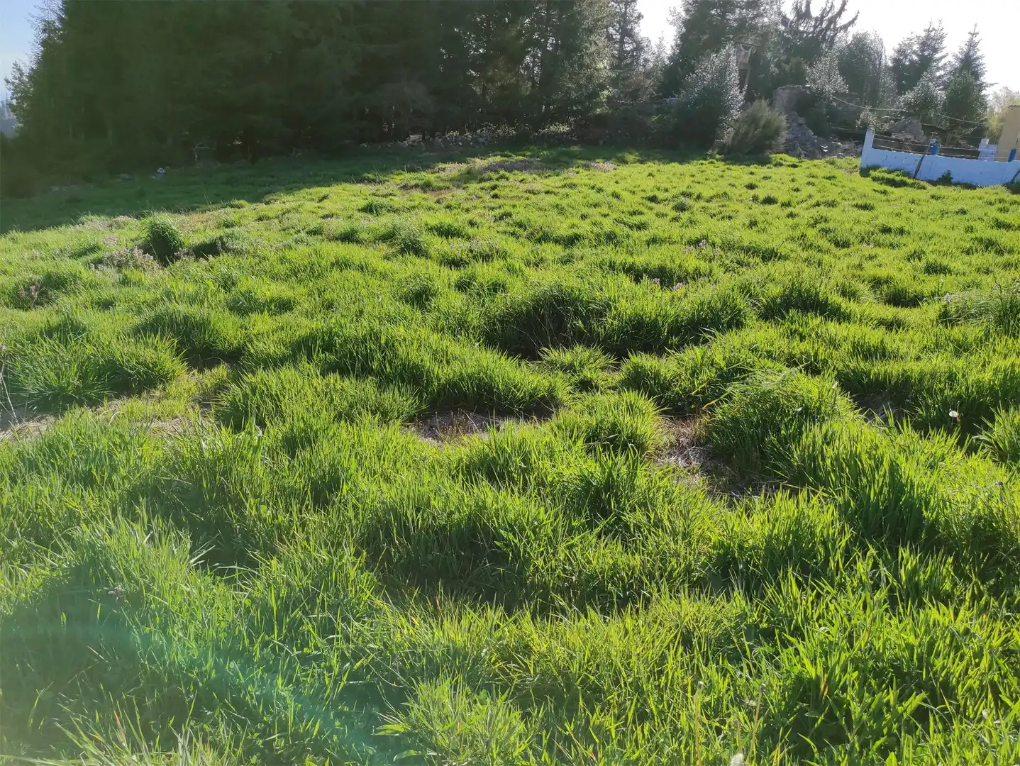Terreno en venta en Silvela, A Fonsagrada Terreno en venta en A Fonsagrada