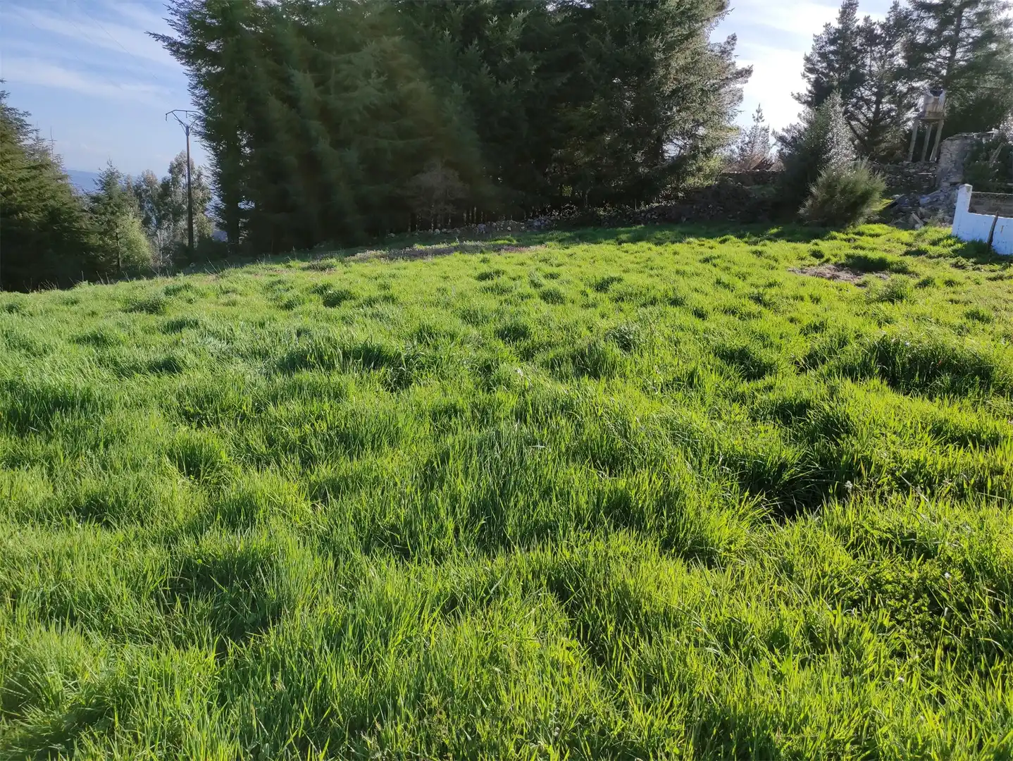 Terreno en venta en Silvela, A Fonsagrada Terreno en venta en A Fonsagrada