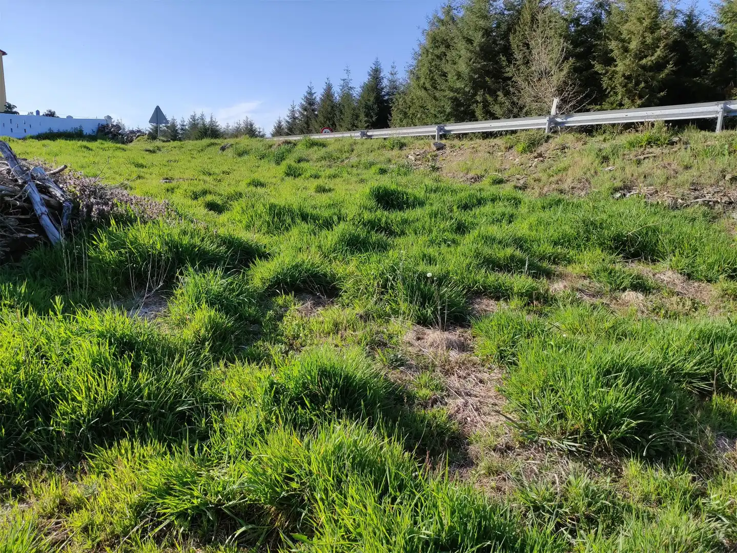 Terreno en venta en Silvela, A Fonsagrada Terreno en venta en A Fonsagrada