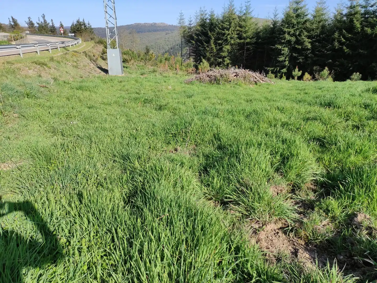 Terreno en venta en Silvela, A Fonsagrada Terreno en venta en A Fonsagrada