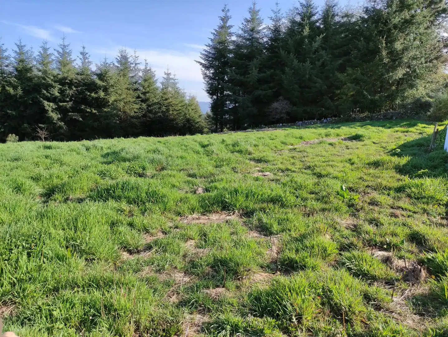 Terreno en venta en Silvela, A Fonsagrada Terreno en venta en A Fonsagrada