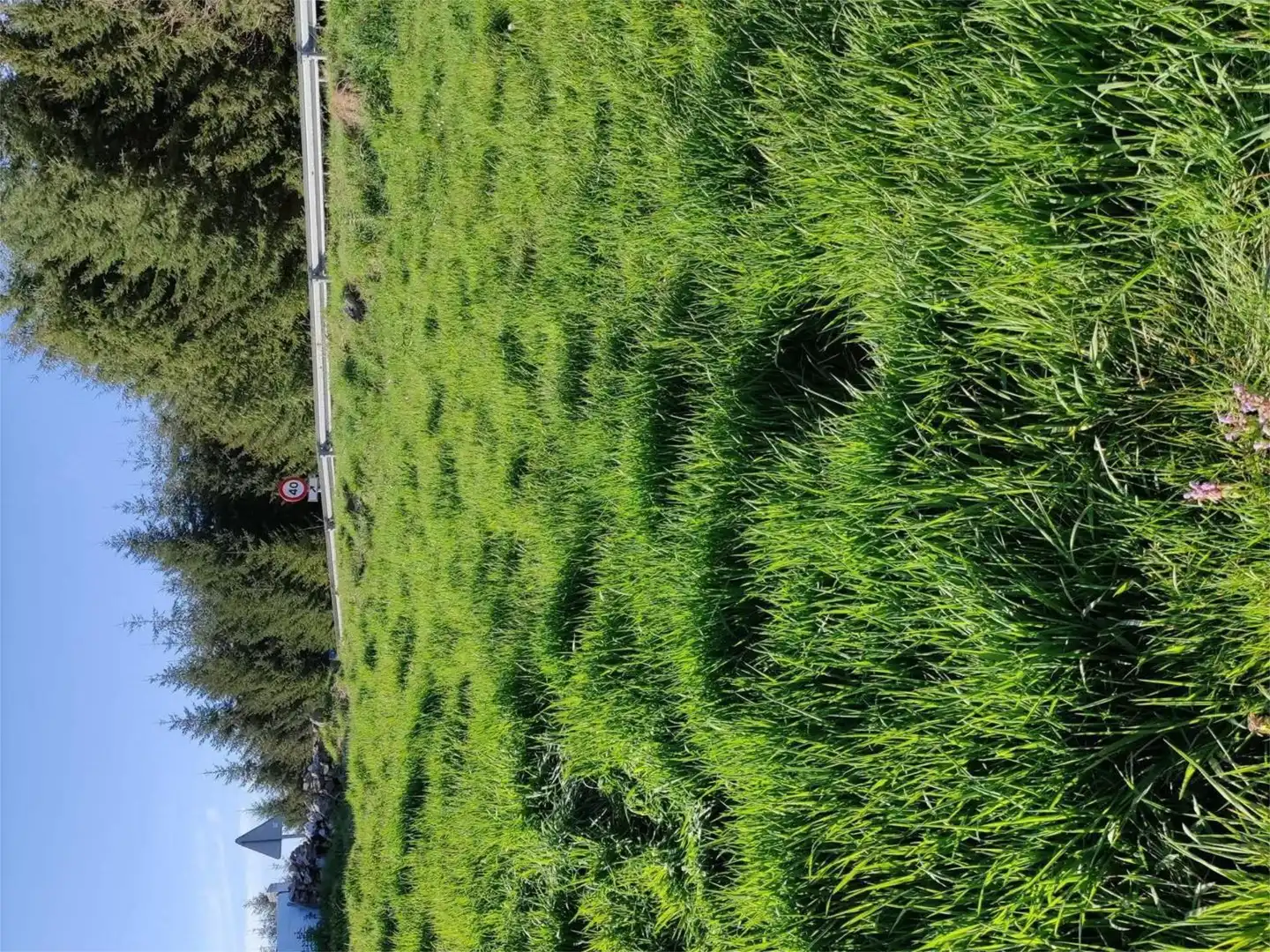 Terreno en venta en Silvela, A Fonsagrada Terreno en venta en A Fonsagrada