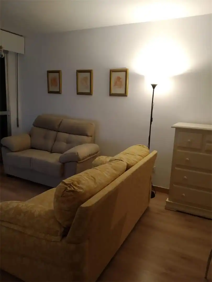 Sala de estar de Piso de alquiler en Sevilla con Aire acondicionado, Calefacción y Parquet