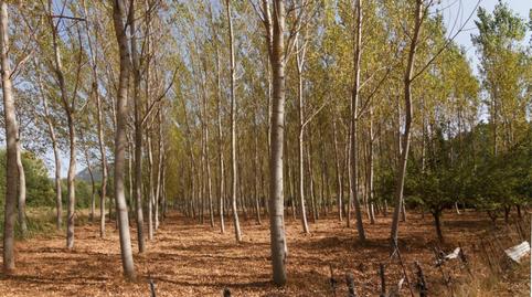 Foto 5 de Terreno en venta en Calle Valencia, 12, Riópar, Albacete