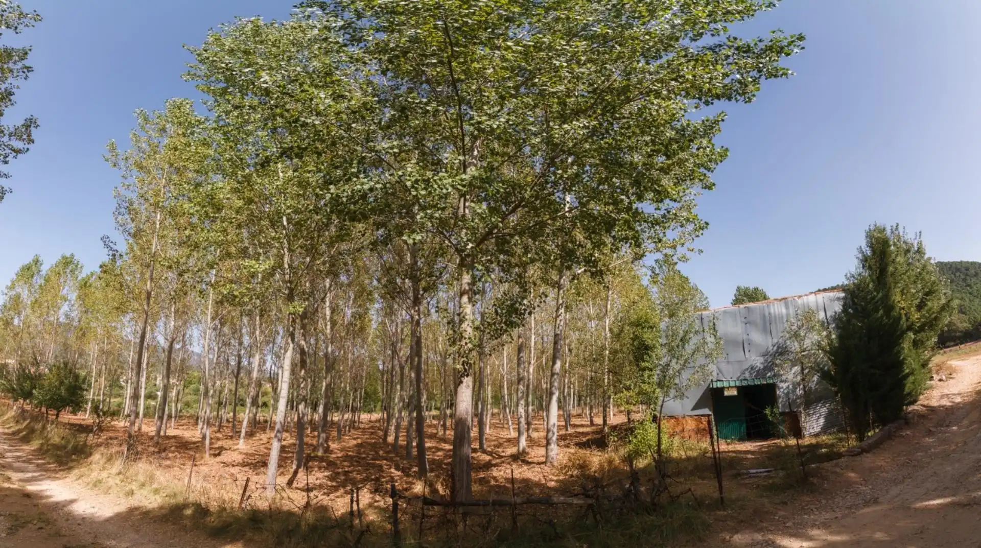 Garten von Grundstücke zum Verkauf in Riópar