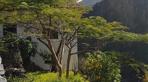 House or chalet for sale in La Laja, San Sebastián de la Gomera, Santa Cruz de Tenerife - image 4 Photo 4 of House or chalet for sale in La Laja, San Sebastián de la Gomera, Santa Cruz de Tenerife