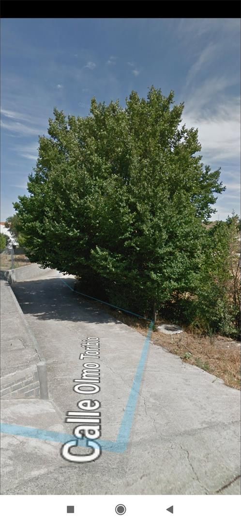 Land for sale in Fuencemillán