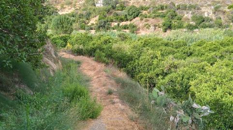 Photo 4 of Land for sale