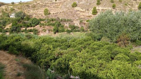 Photo 5 of Land for sale