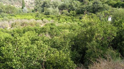 Photo 2 of Land for sale