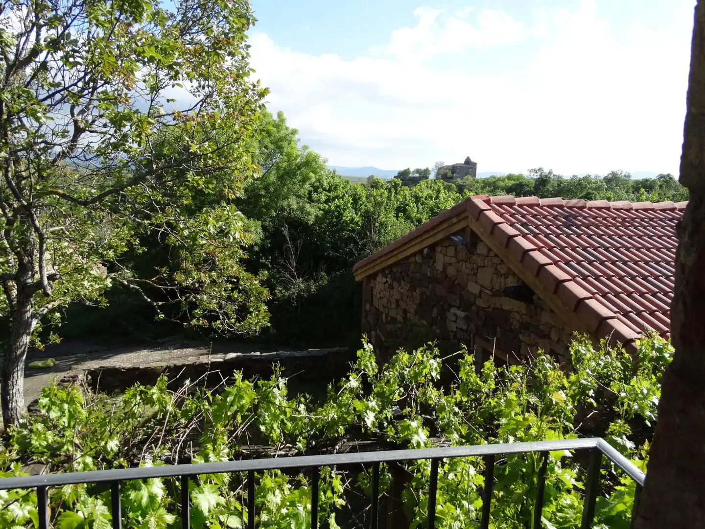 Garden of Country homes for sale in Tinieblas de la Sierra  with Private garden, Furnished and Oven