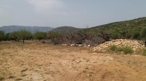 Foto 4 de Terreny en venda a Cv-720, Alcalalí, Alicante