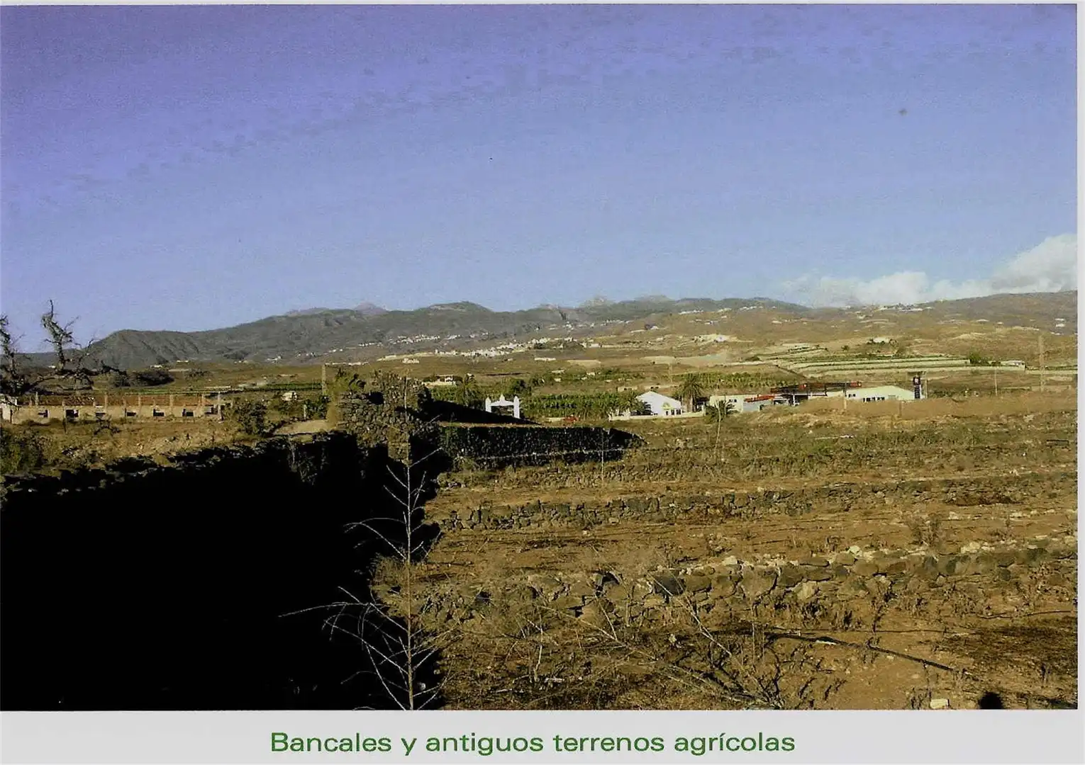 Constructible Land for sale in Adeje
