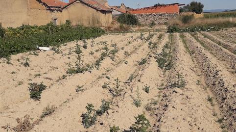 Planta baixa en venda a Calle la Zaya, 32, Riego de la Vega, León - imatge 2 Foto 2 de Planta baixa en venda a Calle la Zaya, 32, Riego de la Vega, León