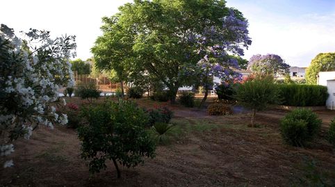 Foto 5 de Casa o chalet en venta en Calle Bonifacio IV, Carmona, Sevilla
