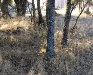 Land for sale in Horcajo de la Sierra