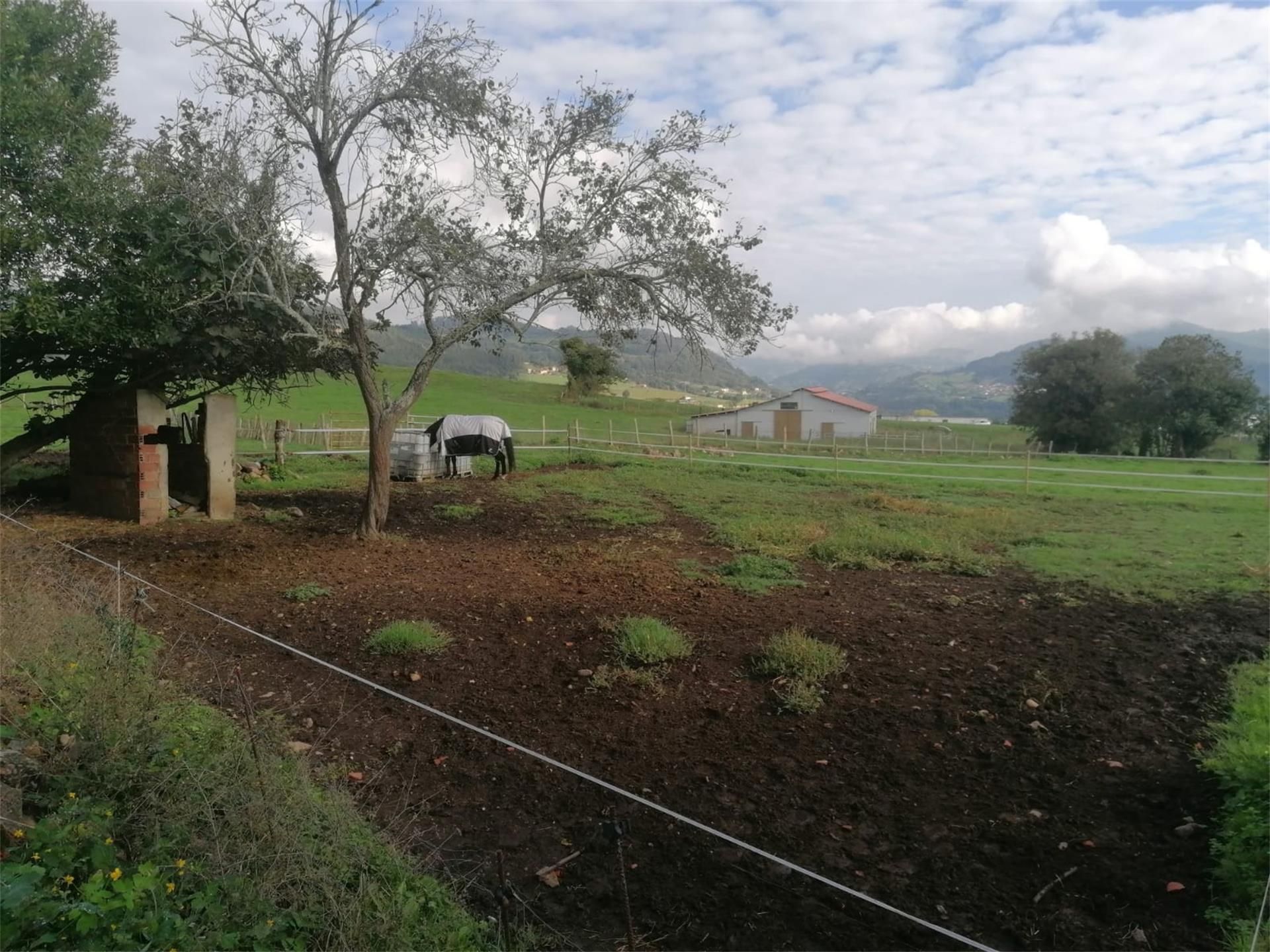 Constructible Land for sale in Grado
