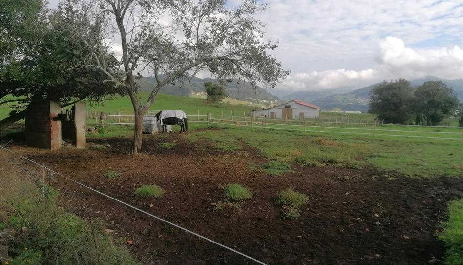 Constructible Land for sale in Riviellas, Grado, Asturias - image 1 Photo 1 of Constructible Land for sale in Riviellas, Grado, Asturias