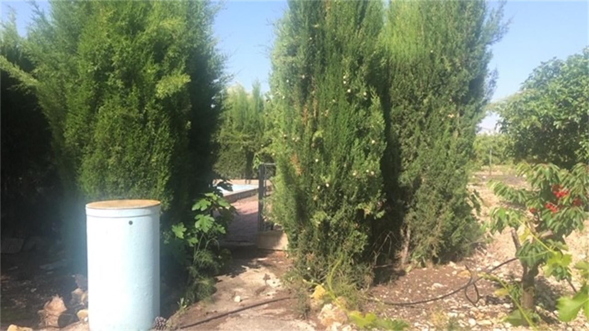 Exterior view of Country house for sale in Villena  with Swimming Pool and Furnished