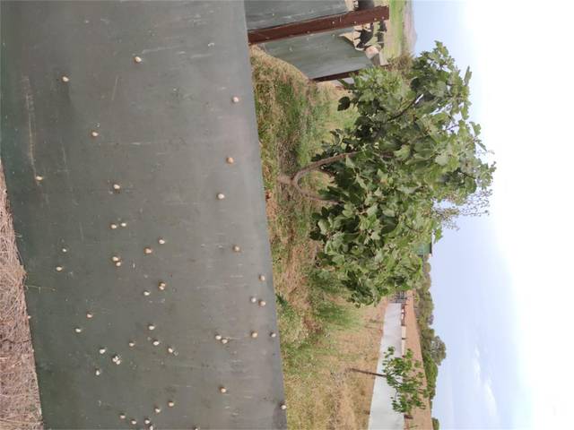 Terreno en Venta en Calle La Esperanza en Murillo El Cuende