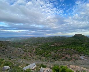 Vista exterior de Terreny en venda en Segart