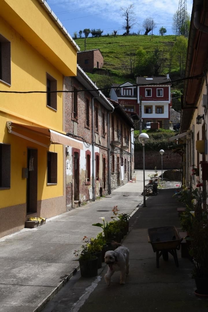 Vista exterior de Casa adosada en venda en Mieres (Asturias)