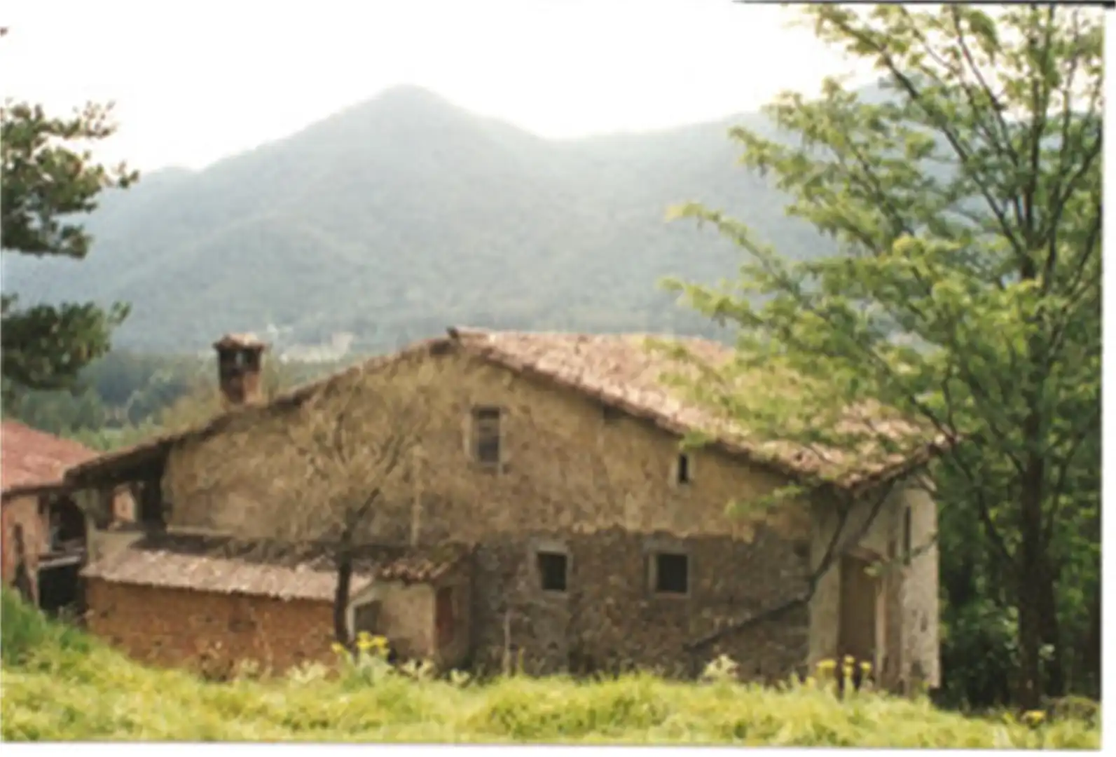 Vista exterior de Finca rústica en venta en La Vall de Bianya