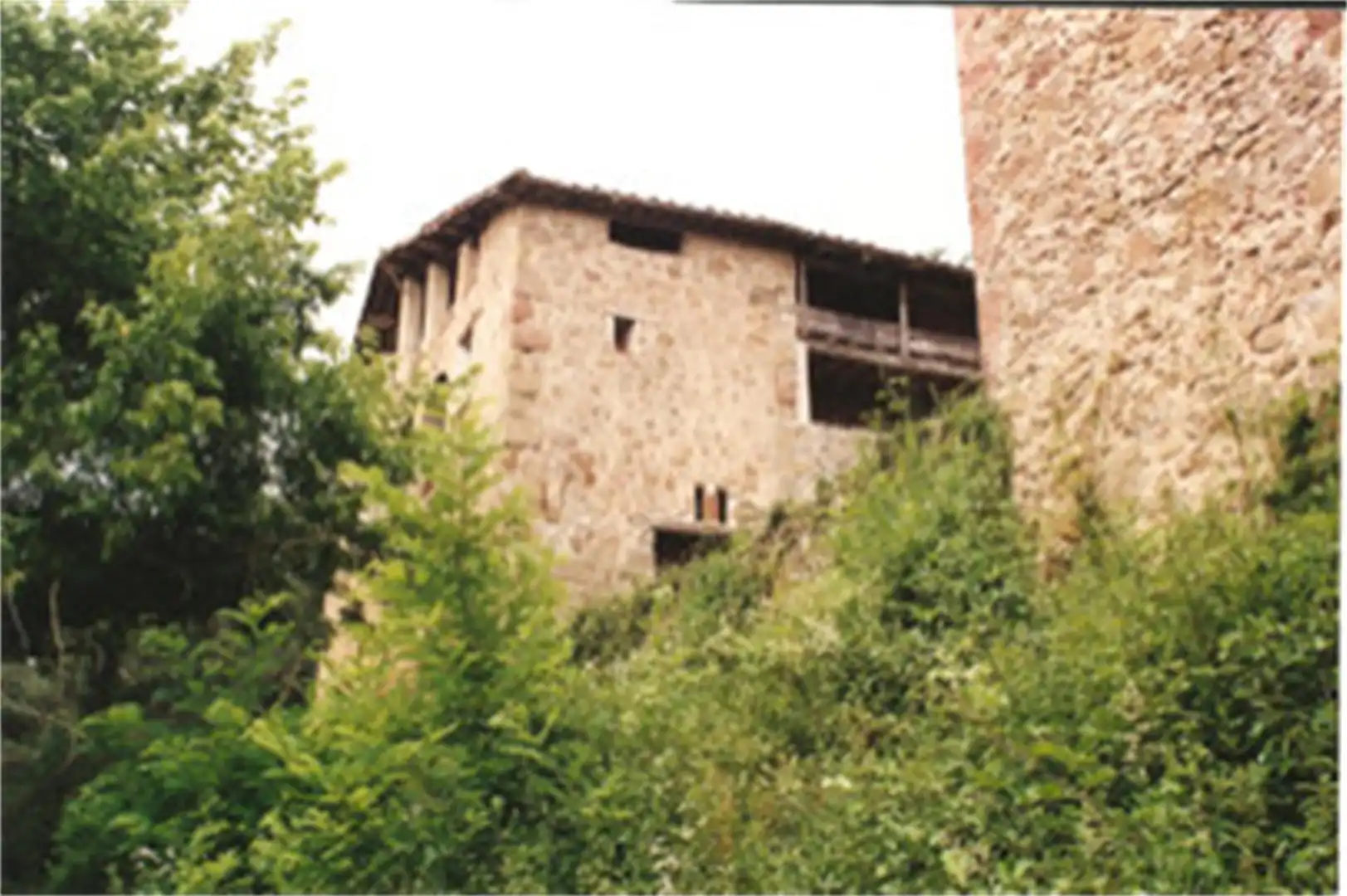 Vista exterior de Finca rústica en venta en La Vall de Bianya
