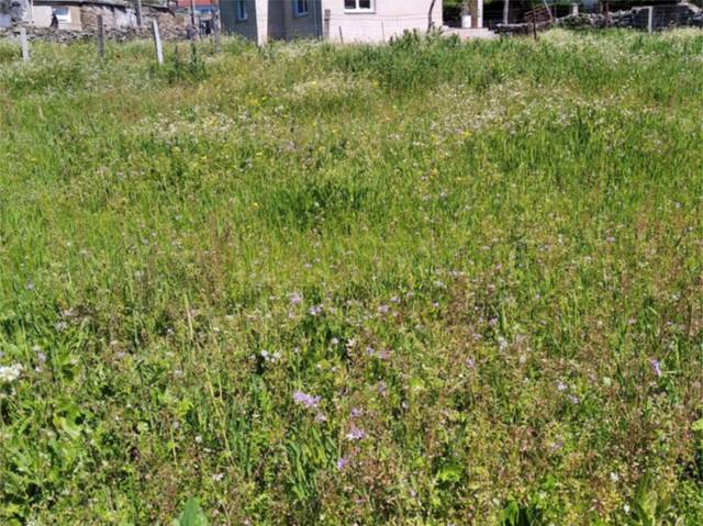 Terreno en Venta en Calle de la Huerta, 3 en Villaseco de los Gamitos