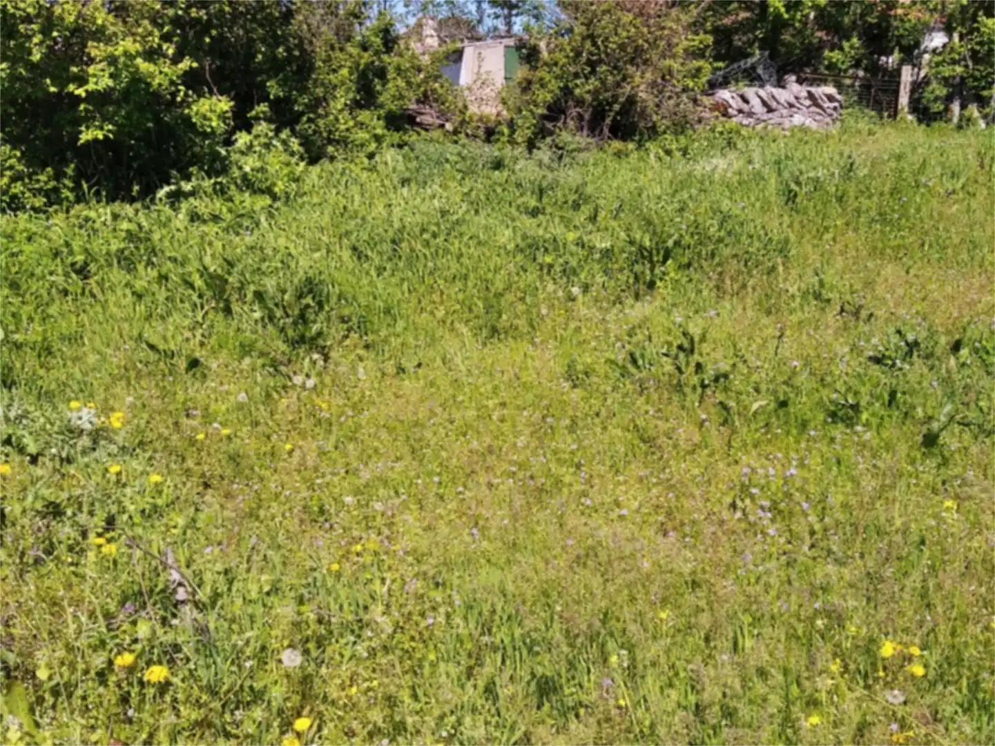 Land for sale in Villaseco de los Gamitos