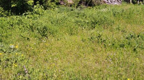 Foto 2 de Terreny en venda a Calle de la Huerta, 3, Villaseco de los Gamitos, Salamanca