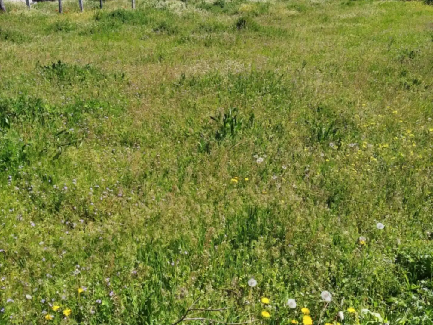 Land for sale in Villaseco de los Gamitos