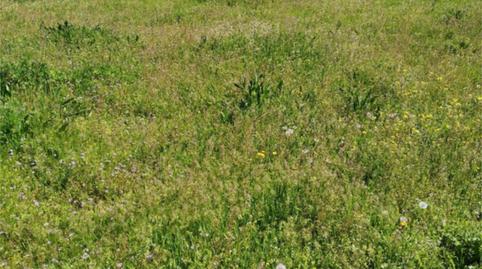 Foto 3 de Terreny en venda a Calle de la Huerta, 3, Villaseco de los Gamitos, Salamanca