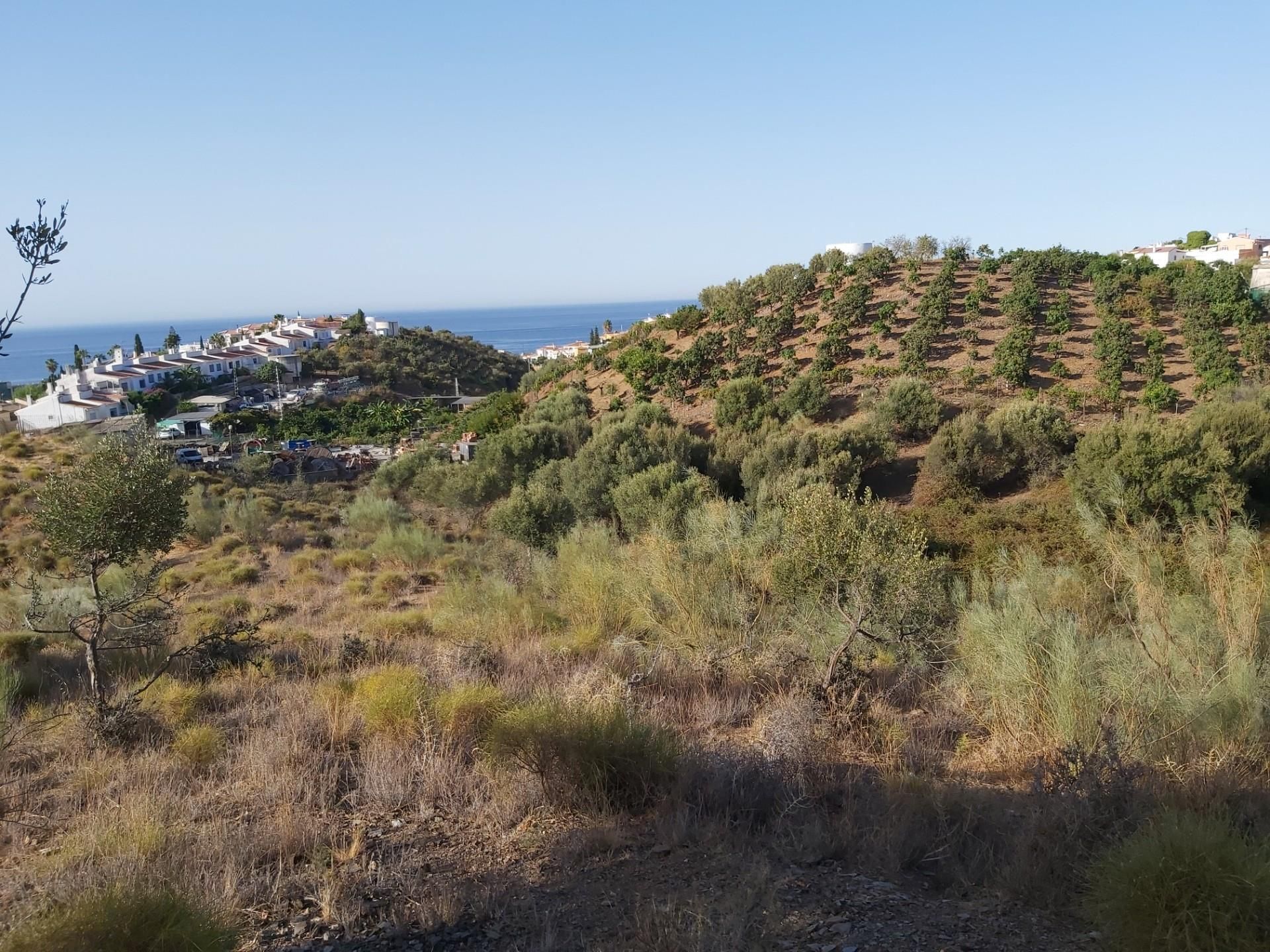 Land for sale in Vélez-Málaga