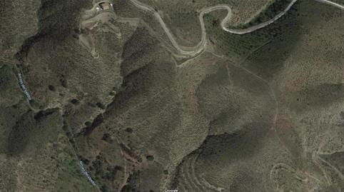 Country homes for sale in Carretera de Cártama, Centro, Alhaurín El Grande - image 4 Photo 4 of Country homes for sale in Carretera de Cártama, Centro, Alhaurín El Grande