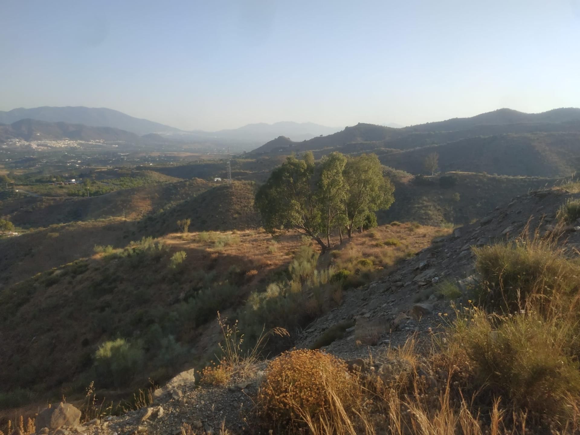 Country homes for sale in Alhaurín El Grande