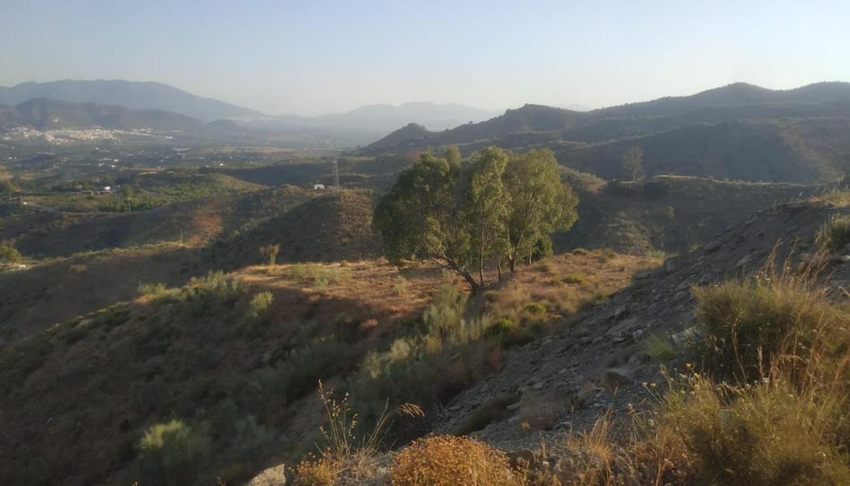 Country homes for sale in Carretera de Cártama, Centro, Alhaurín El Grande - image 1 Photo 1 of Country homes for sale in Carretera de Cártama, Centro, Alhaurín El Grande