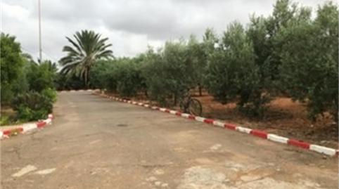 Foto 4 de Finca rústica en venda a Calle Antonio Pascual, La Aljorra, Cartagena