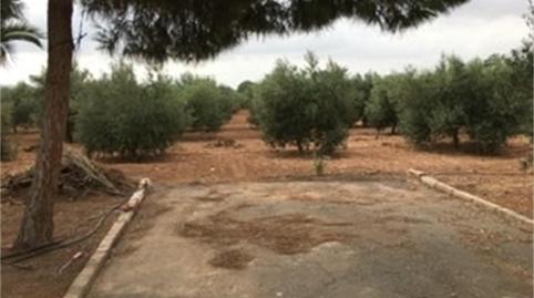 Foto 3 de Finca rústica en venda a Calle Antonio Pascual, La Aljorra, Cartagena