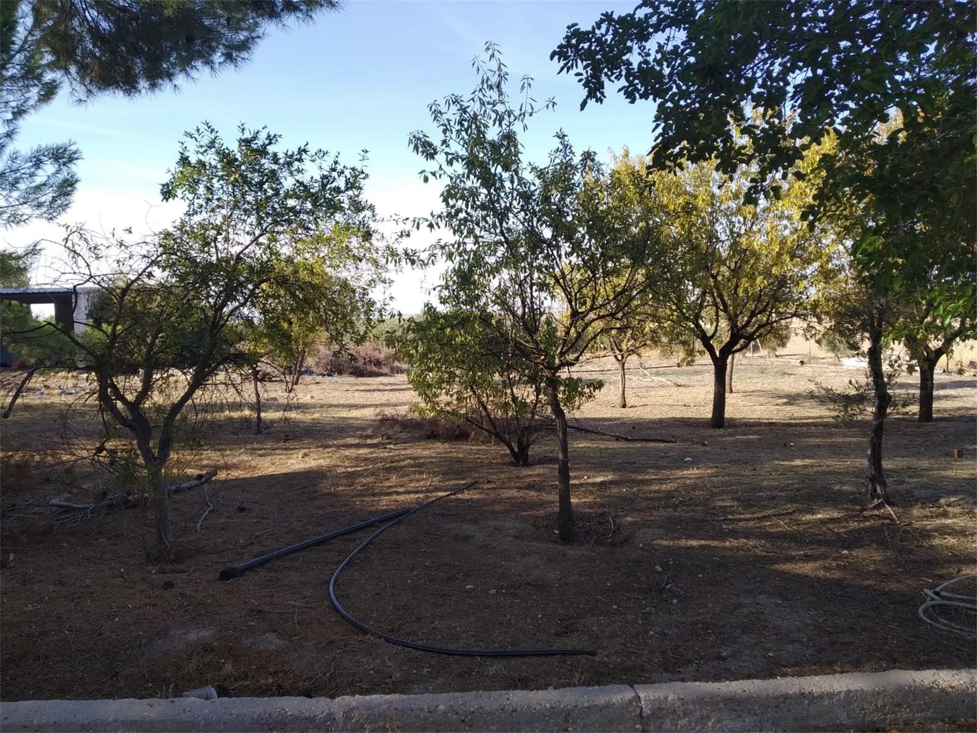 Land for sale in Aranjuez