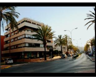 Àtic de lloguer a Avenida de la Marina, 81, Virgen del Mar