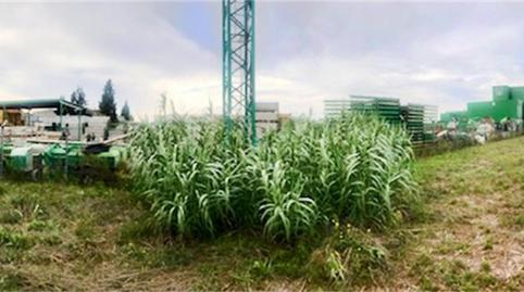 Land for sale in Carrer Puigmal, 10, Can Rial, Barcelona - image 4 Photo 4 of Land for sale in Carrer Puigmal, 10, Can Rial, Barcelona