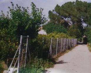 Non-constructible Land for sale in  Murcia Capital