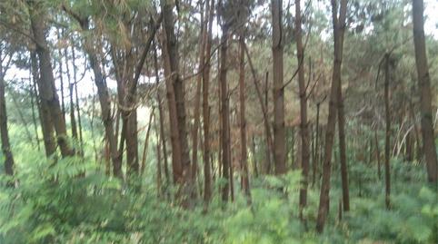 Finca rústica en venta en Barrio Axpe, Busturia, Bizkaia - imagen 2 Foto 2 de Finca rústica en venta en Barrio Axpe, Busturia, Bizkaia